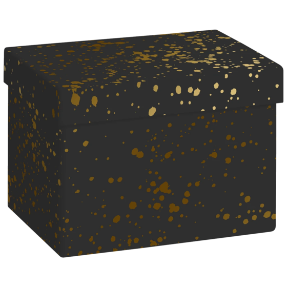 Geschenkbox „Sprenkel“ | 12×12×16,5 cm, 120 g/m², schwarz