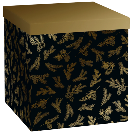 Geschenkbox „Mariola“ | 23×24×23 cm, 120 g/m², schwarz/gold