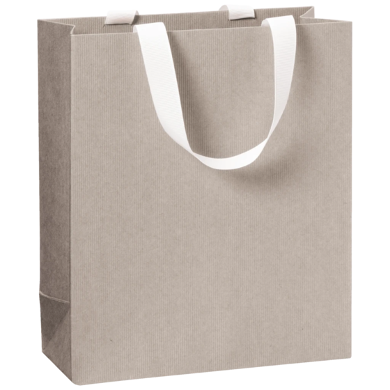 Gift Bag One Colour | 18×21×8 cm, 250 gsm, light grey
