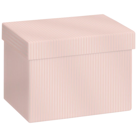 Geschenkbox „Paro“ | 12×12×16,5 cm, hellrosa