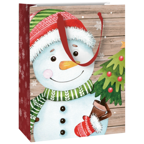 Geschenktasche „Alwin“ | 23×30×13 cm, 180 g/m², mehrfarbig
