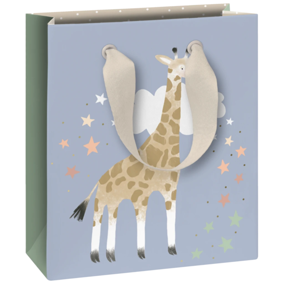 Geschenktasche „Mimmo“ | 18×21×8 cm, 250 g/m², mehrfarbig