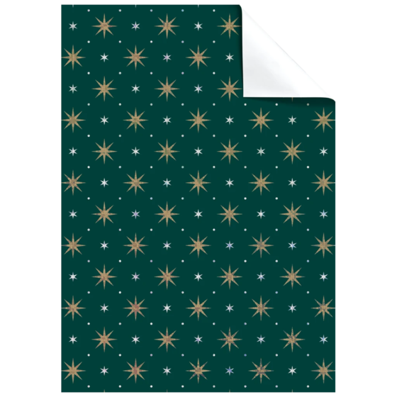 Feuille de papier cadeau « Zidonia » | 50×70 cm, 76 g/m², vert