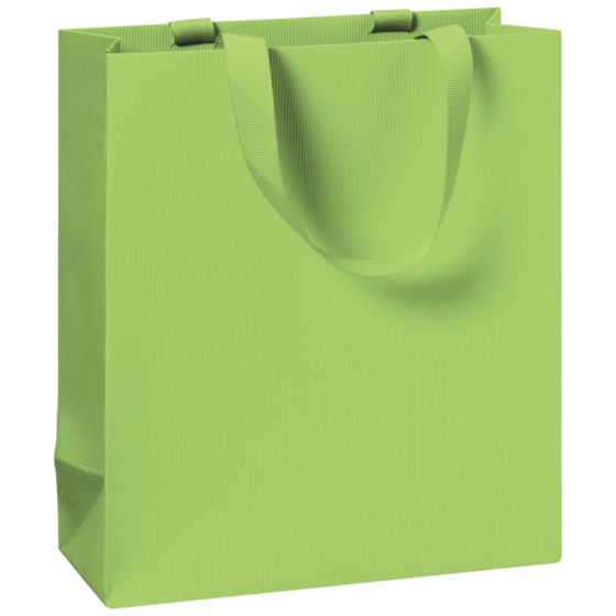 Gift Bag One Colour | 18×21×8 cm, 250 gsm, light green