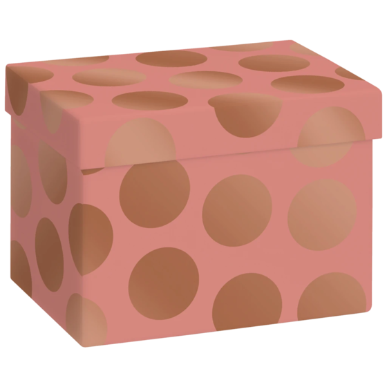 Geschenkbox „Vanda“ | 12×12×16,5 cm, 120 g/m², terracotta