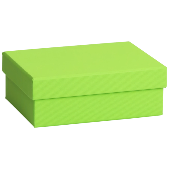 Geschenkbox One Colour | 16,5×6×12 cm, hellgrün