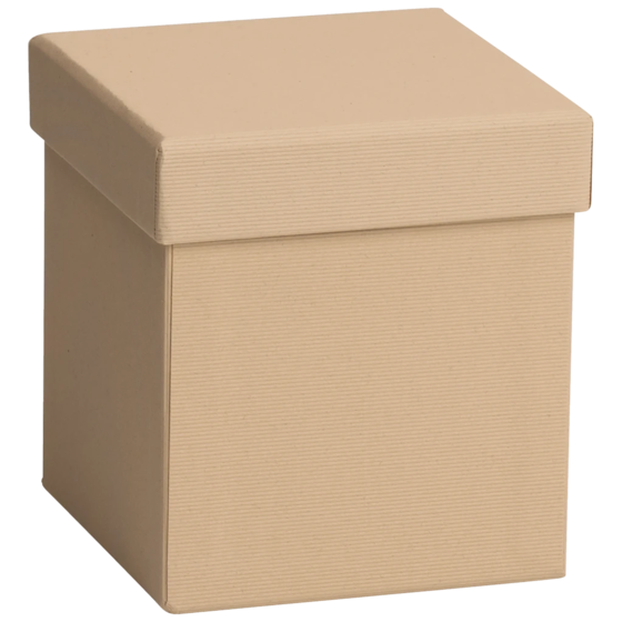 Geschenkbox One Colour | 11×11×12 cm, hellbraun