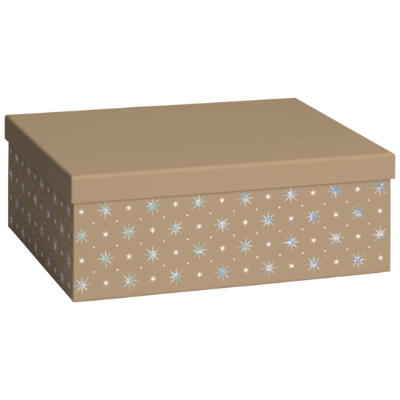 Geschenkbox „Zidonia“ | 24×12×33 cm, 120 g/m², gold