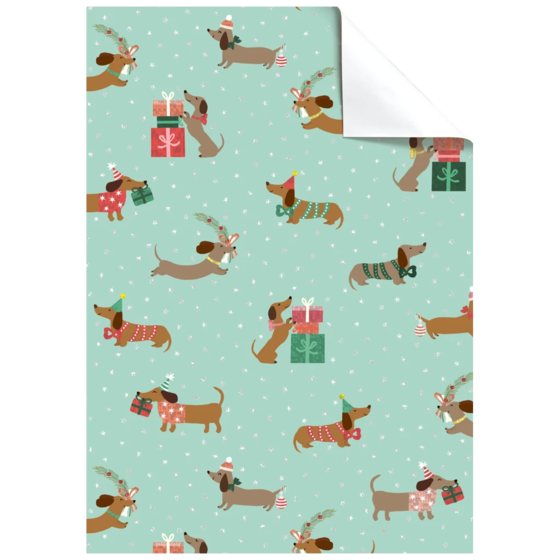 Geschenkpapier-Bogen „Bo“ | 100×70 cm, 76 g/m², mint