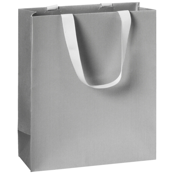 Gift Bag One Colour | 18×21×8 cm, 250 gsm, silver