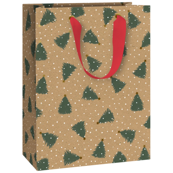 Geschenktasche „Kian“ | 23×30×13 cm, 230 g/m², braun