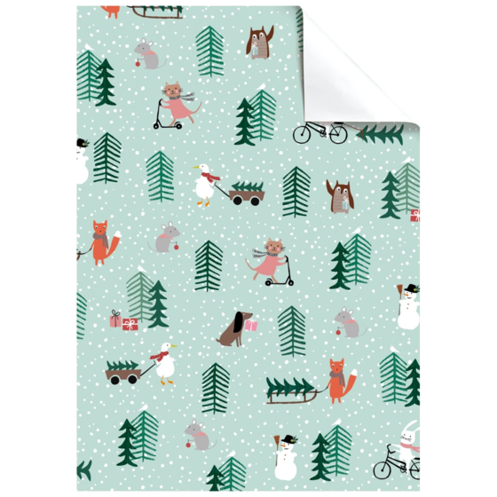 Geschenkpapier-Bogen „Josefina“ | 50×70 cm, 115 g/m², mintgrün