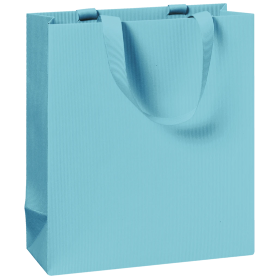 Gift Bag One Colour | 18×21×8 cm, 250 gsm, light blue