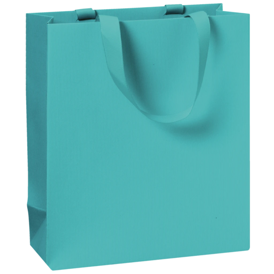 Gift Bag One Colour | 18×21×8 cm, 250 gsm, turquoise