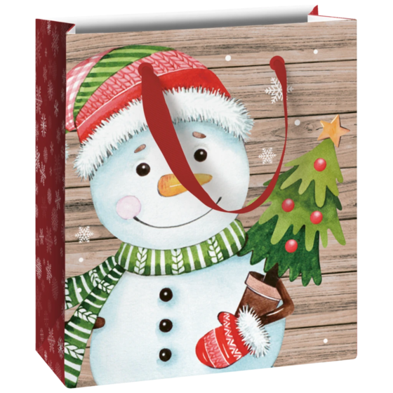 Geschenktasche „Alwin“ | 18×21×8 cm, 180 g/m², mehrfarbig