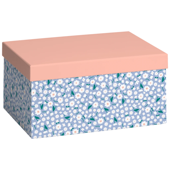 Geschenkbox „Samia“ | 16,5×12×24 cm, 120 g/m², lachs/himmelblau