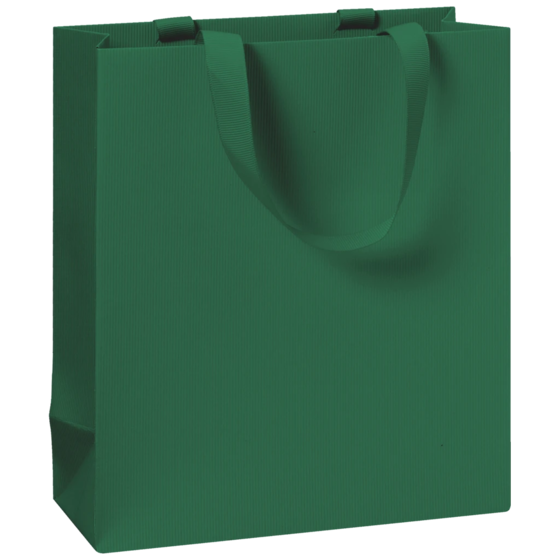 Gift Bag One Colour | 18×21×8 cm, 250 gsm, dark green