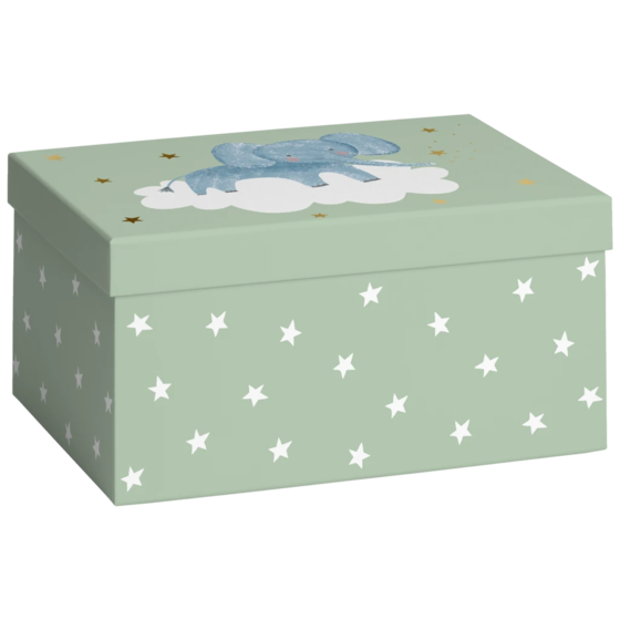 Geschenkbox „Mimmo“ | 16,5×12×24 cm, pastellgrün