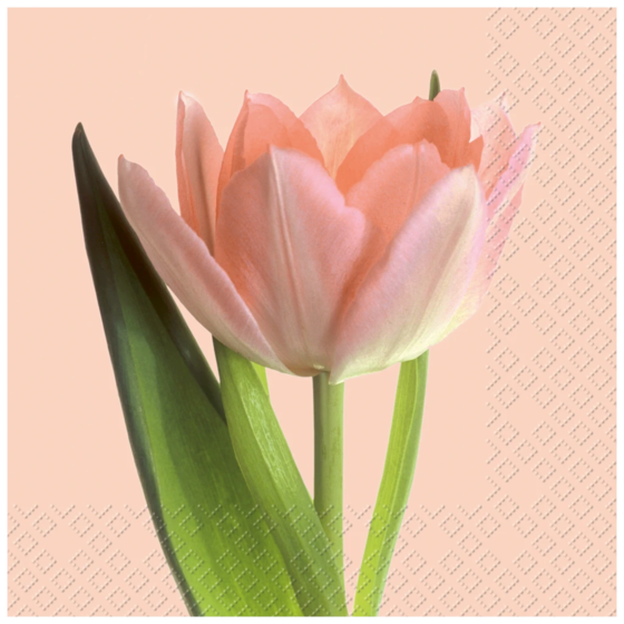 Servietten | 33×33 cm, rosa, 20 Stück