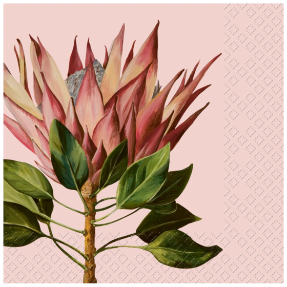 Servietten | 33×33 cm, rosa, 20 Stück