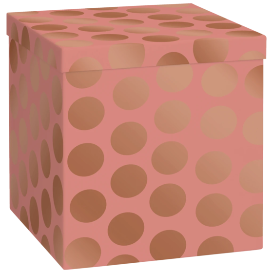 Geschenkbox „Vanda“ | 23×24×23 cm, 120 g/m², terracotta
