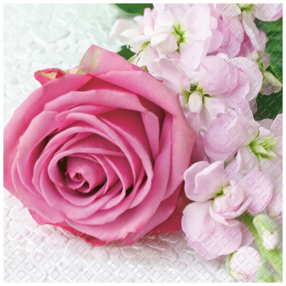 Servietten „Vanessa“ | 25×25 cm, pink, 20 Stück