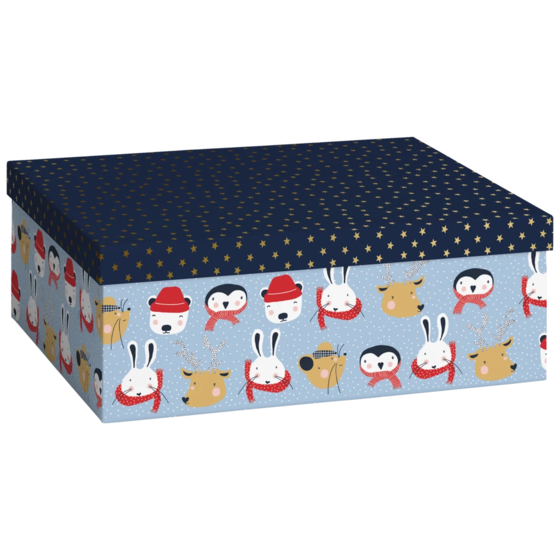 Geschenkbox „Malik“ | 24×12×33 cm, 120 g/m², hellblau
