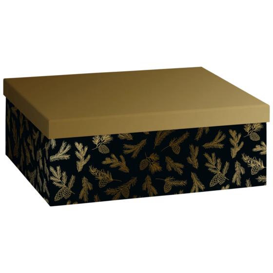 Geschenkbox „Mariola“ | 24×12×33 cm, 120 g/m², schwarz/gold