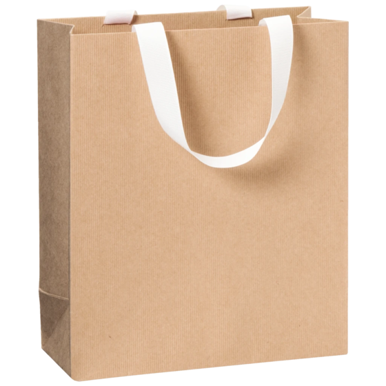 Gift Bag One Colour | 18×21×8 cm, 250 gsm, light brown
