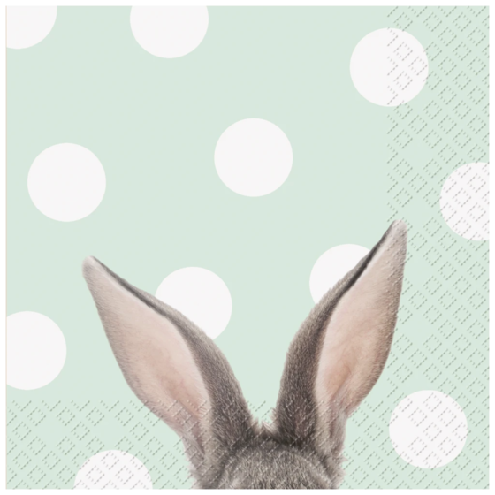 Servietten „Yon“ | 33×33 cm, mint, 20 Stück