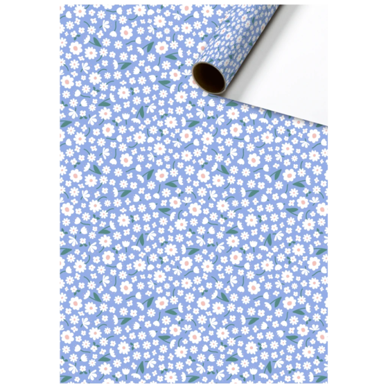 Geschenkpapier „Samia“ | 70 cm × 2 m, 80 g/m², hellblau