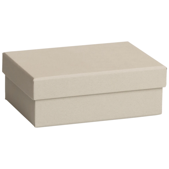 Geschenkbox One Colour | 16,5×6×12 cm, hellgrau