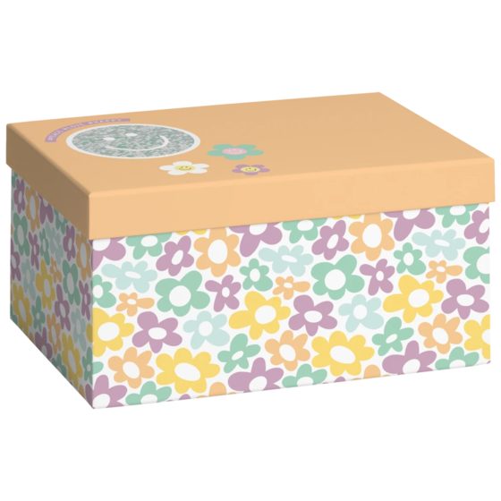 Geschenkbox „Nea“ | 16,5×12×24 cm, apricot/mehrfarbig, pastell