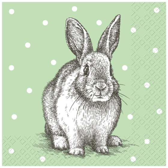 Servietten „Leroy“ | 33×33 cm, hellgrün, 20 Stück