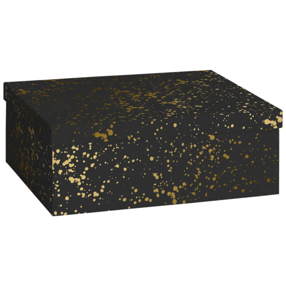 Geschenkbox „Sprenkel“ | 24×12×33 cm, 120 g/m², schwarz