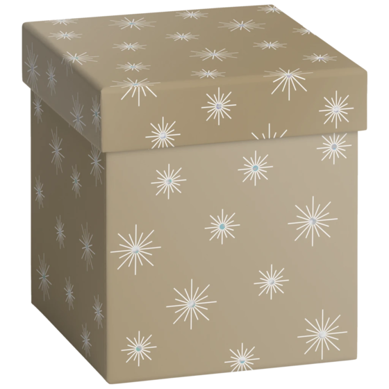 Geschenkbox | 11×11×12 cm, gold