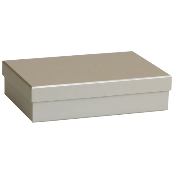 Boîte cadeau One Colour | 24×6×16,5 cm, argent
