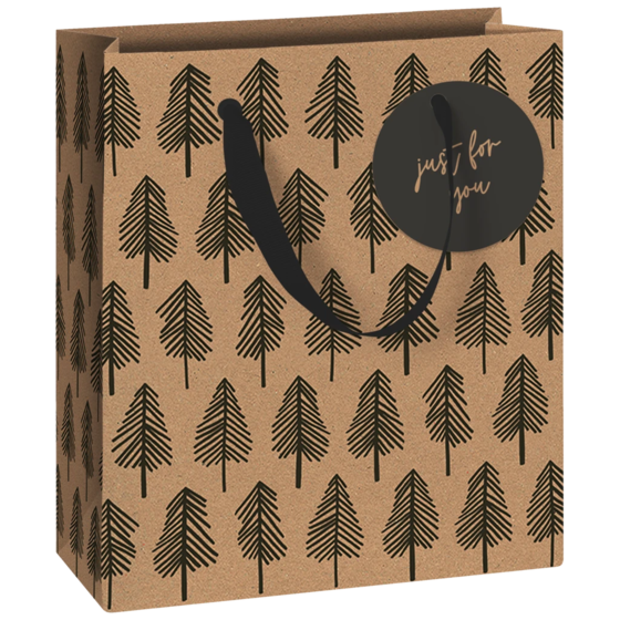Geschenktasche „Weren“ | 18×21×8 cm, 250 g/m², schwarz