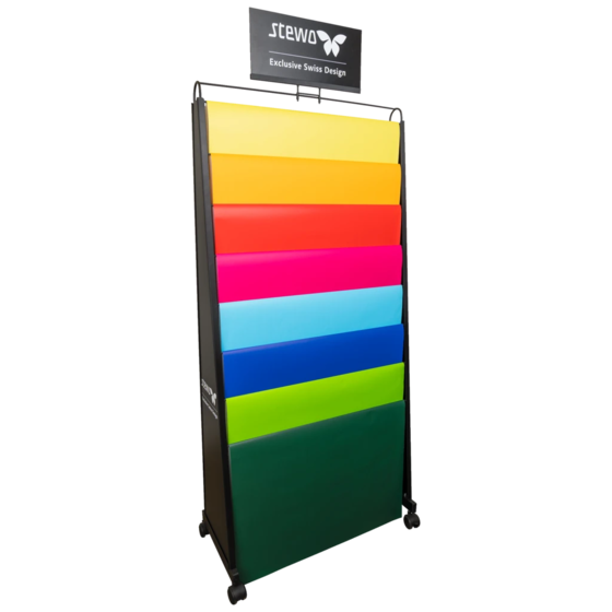 Bodendisplay „BG-Leiter 70x100“ | 750×1780×360 mm, RAL 9005, schwarz