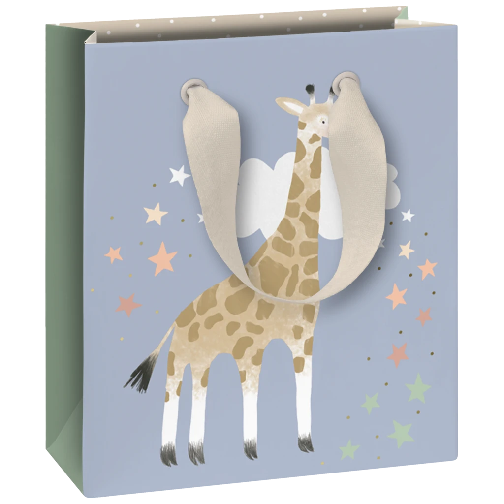Gift Bag “Mimmo” | 18×21×8 cm, 250 gsm, multi-coloured