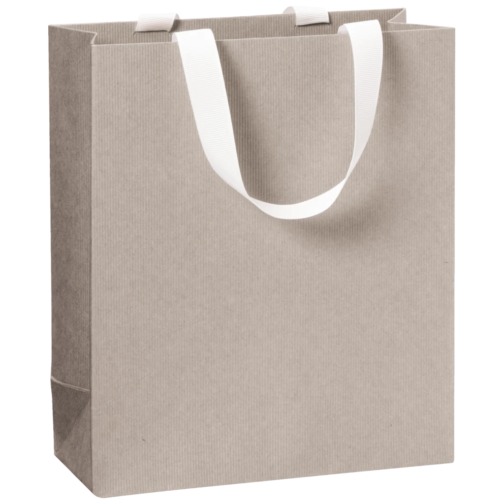 Gift Bag One Colour | 18×21×8 cm, 250 gsm, light grey