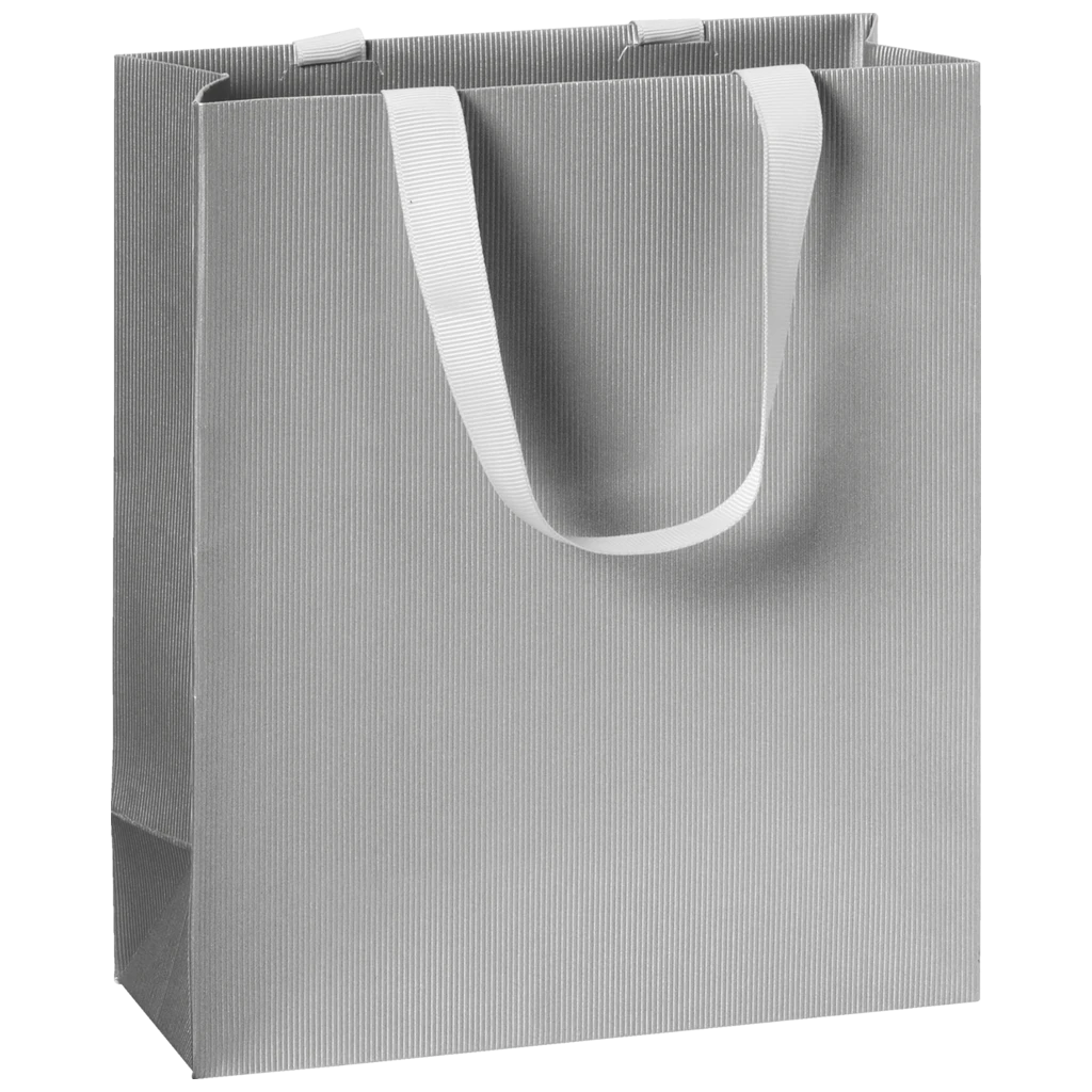 Gift Bag One Colour | 18×21×8 cm, 250 gsm, silver