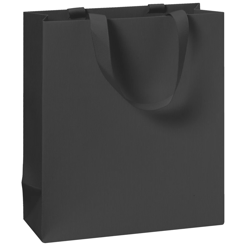 Gift Bag One Colour | 18×21×8 cm, 250 gsm, black