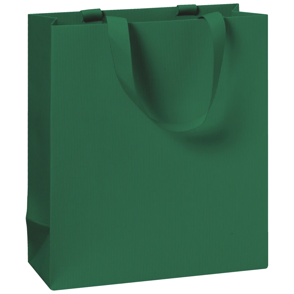 Gift Bag One Colour | 18×21×8 cm, 250 gsm, dark green