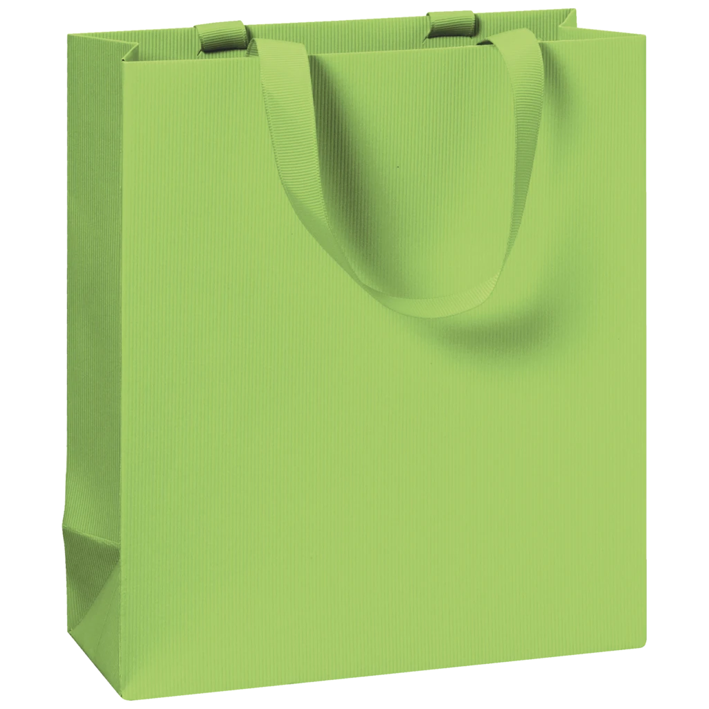 Gift Bag One Colour | 18×21×8 cm, 250 gsm, light green