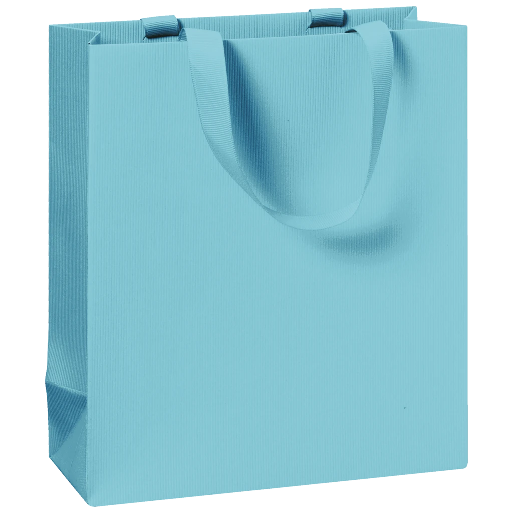 Gift Bag One Colour | 18×21×8 cm, 250 gsm, light blue