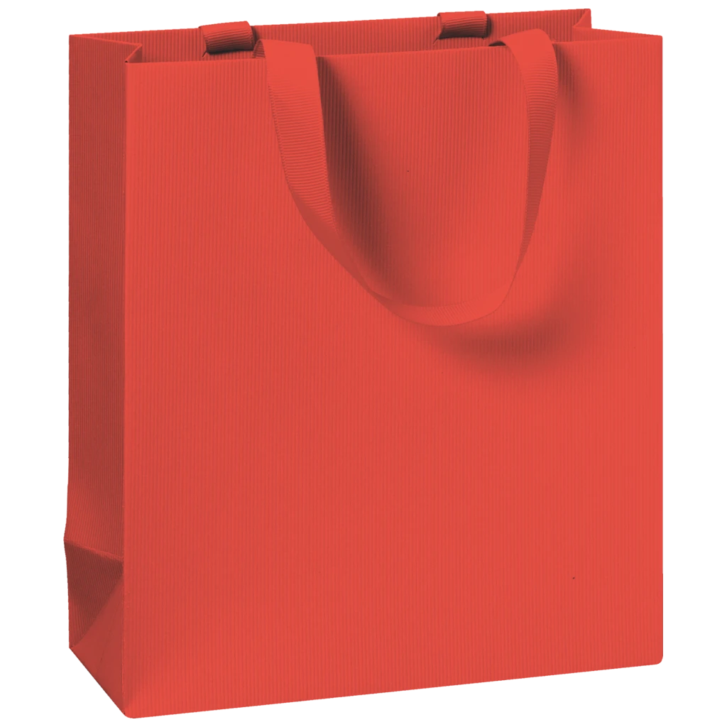 Gift Bag One Colour | 18×21×8 cm, 250 gsm, red