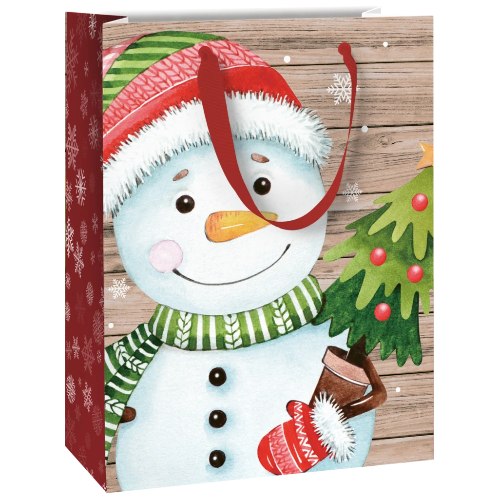 Geschenktasche „Alwin“ | 23×30×13 cm, 180 g/m², mehrfarbig