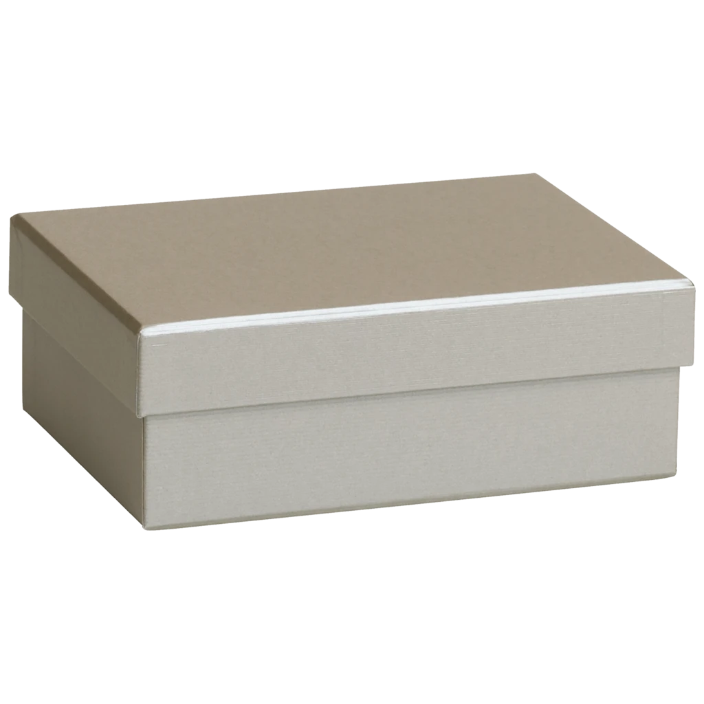 Geschenkbox One Colour | 16,5×6×12 cm, silber