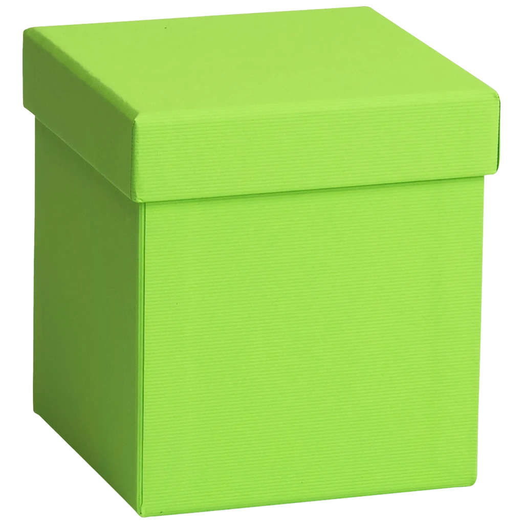 Geschenkbox One Colour | 11×11×12 cm, hellgrün